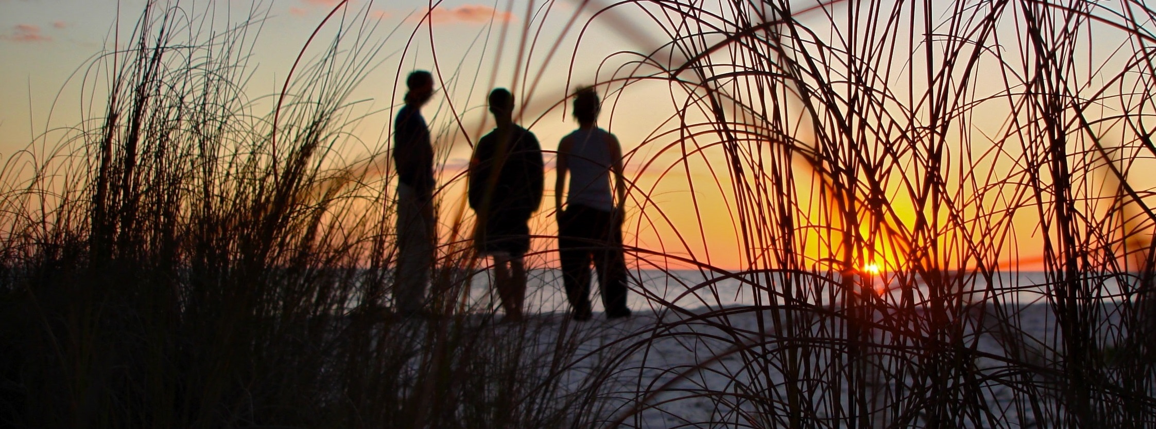 Vacancies Page Compressed (1) (1)