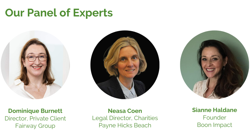 Philanthropy Panel Experts (3)