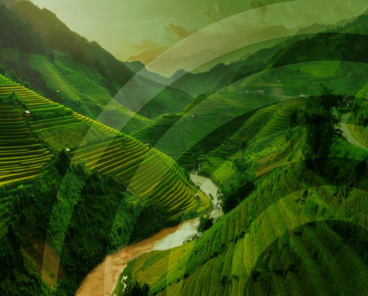 FAIR Service Line 3 600X746 Philanthopy@2X 8