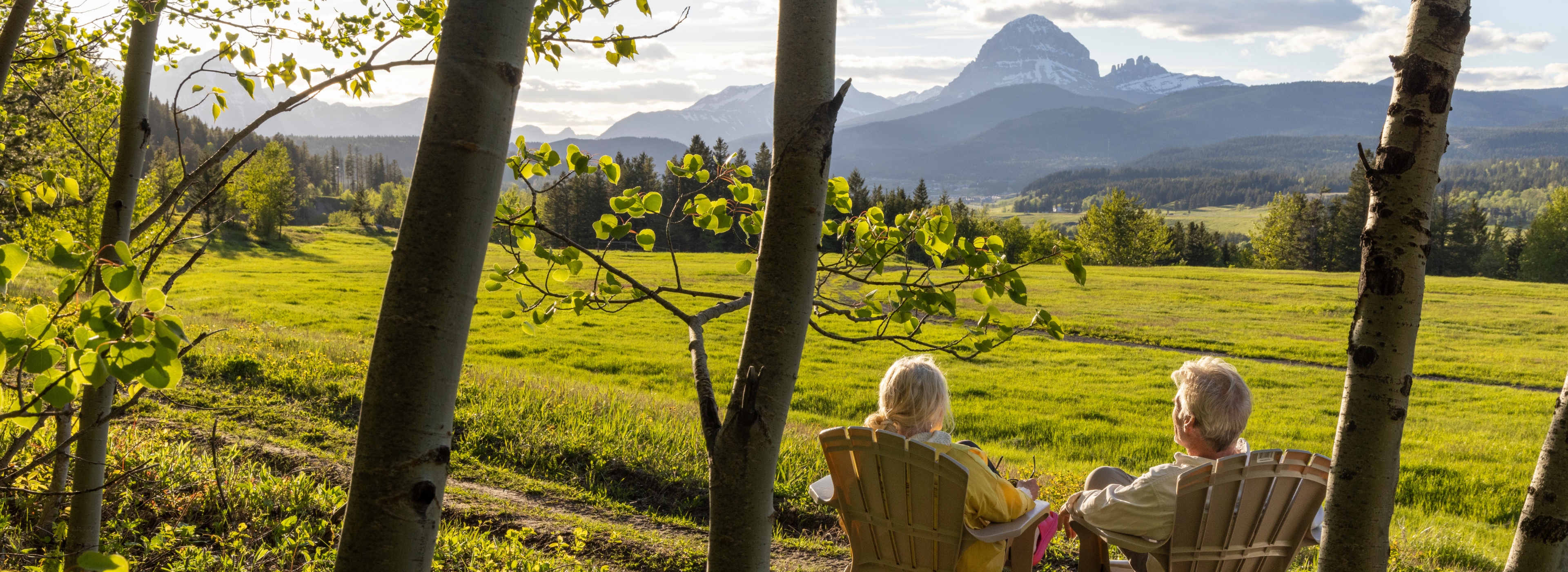 2198 FAIR Website Sucession Planning Page Main Header