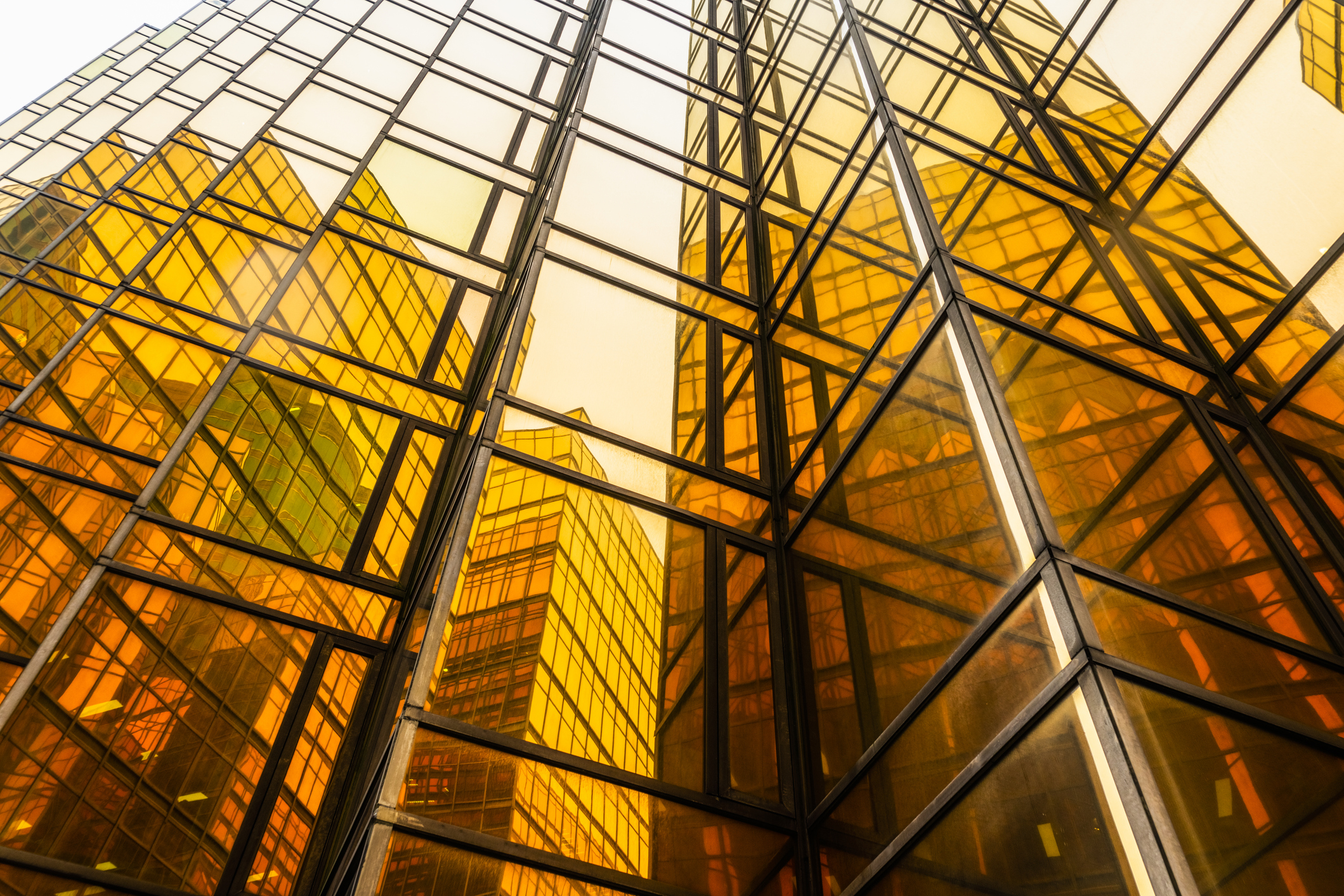 Istock 608601538 image