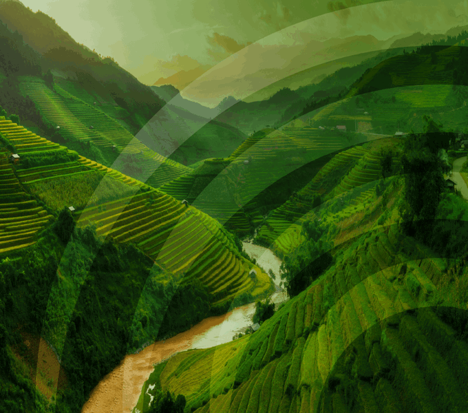 Grass With Butterfly Private Client Imagery