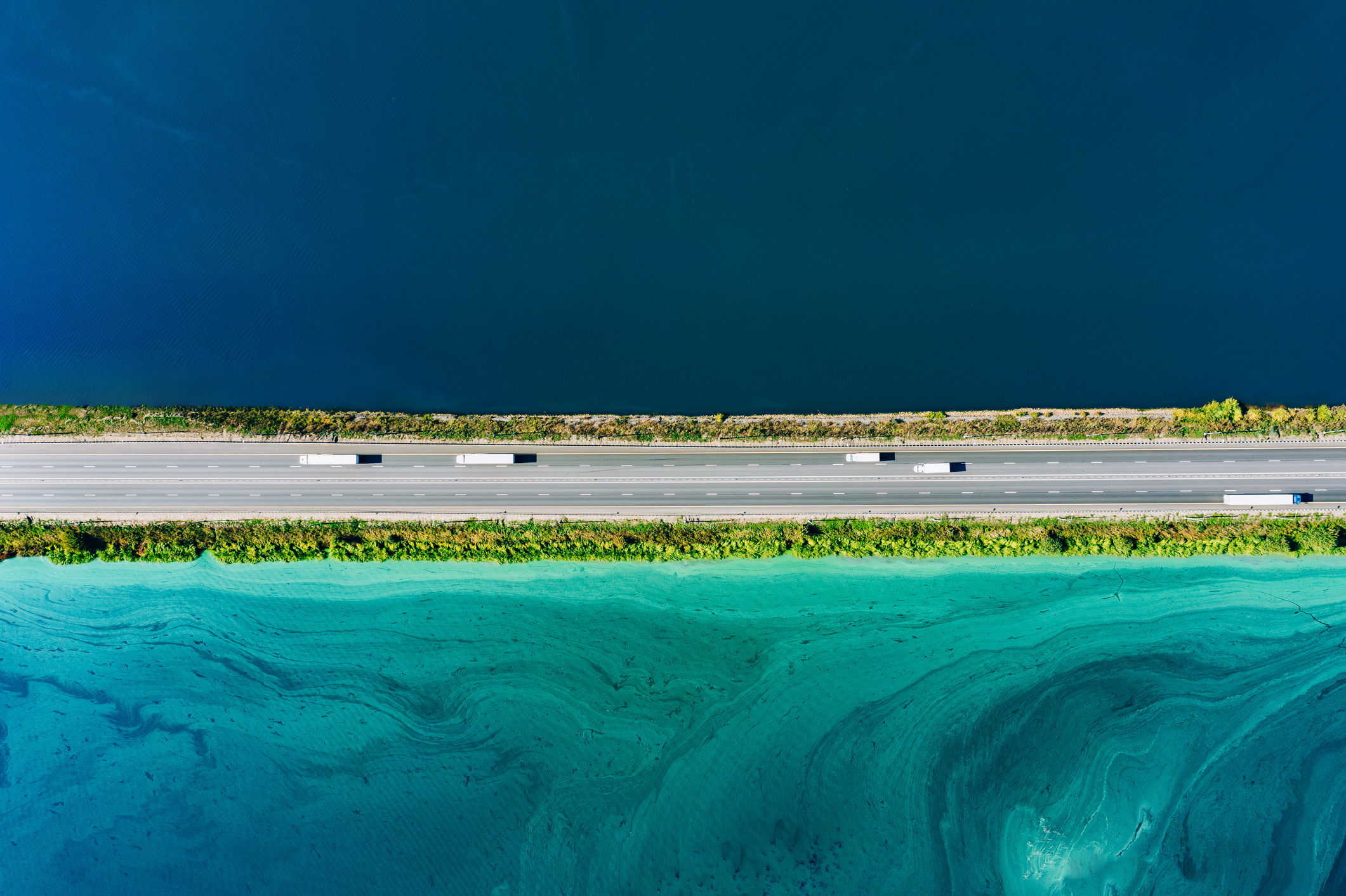 Istock 2174140818 Copy